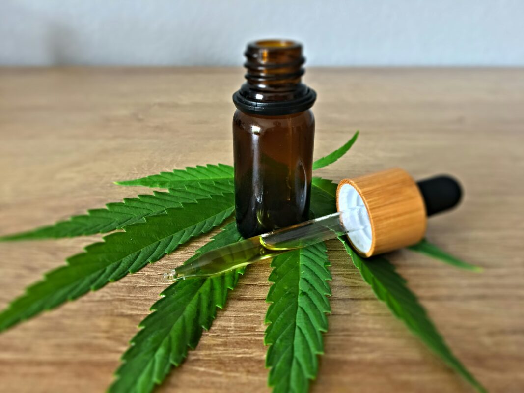 olio cbd